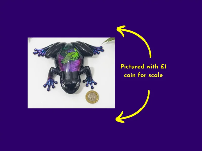 Enchanted Prism Frog resin ornament shown beside a £1 coin for size comparison, with yellow arrowed text notes
