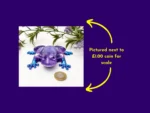 Aqua Purple Frog resin ornament placed beside a £1 coin to show size
