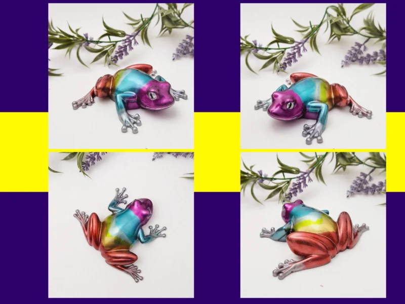 Grid of four rainbow frog angles on purple/yellow frame