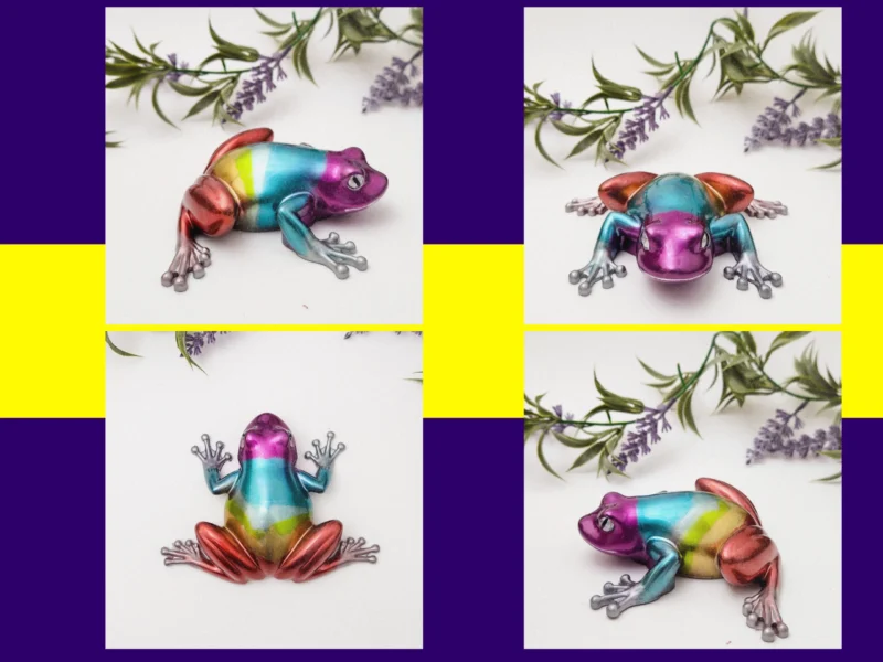 Grid of four rainbow frog angles on purple/yellow frame