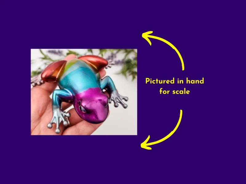 Image of chrome rainbow frog being held for scale