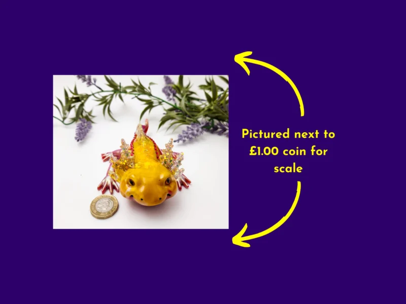 Sparkle Axolotl next to £1 coin for size scale