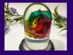KC-DOME-ENCROSE-OOAK-001002 Front view of a clear resin dome with a vibrant multicolour rose preserved inside, photographed with greenery behind.
