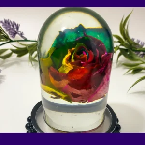 Front view of a clear resin dome with a vibrant multicolour rose preserved inside, photographed with greenery behind.