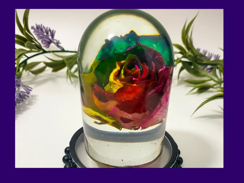 KC-DOME-ENCROSE-OOAK-001002 Front view of a clear resin dome with a vibrant multicolour rose preserved inside, photographed with greenery behind.