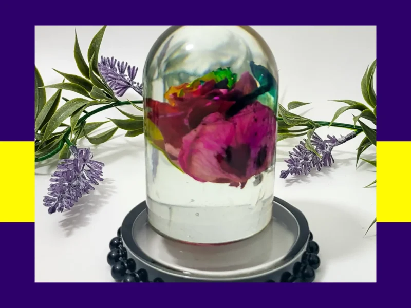 Side angle of the clear resin dome showing layered petals and colour shifts inside the preserved rose.