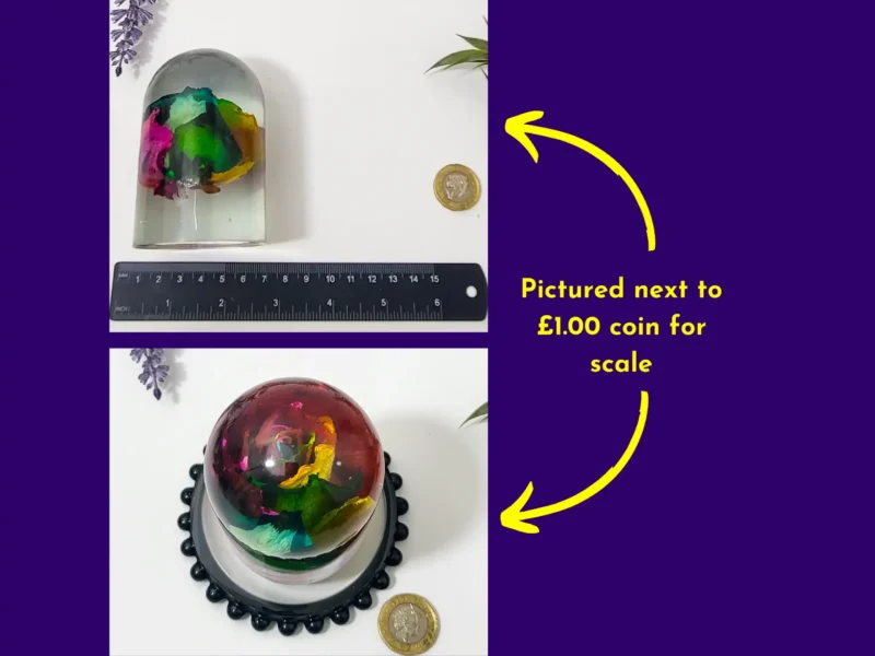 Scale graphic showing the resin dome next to a £1 coin, including a top-down view of the rose inside the dome.