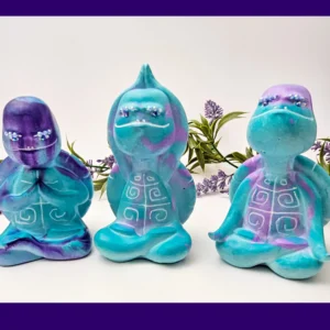 “Title banner showing the Aqua Zen Turtle Trio with bold purple and yellow branding and the text ‘Aqua Zen Turtles’.”