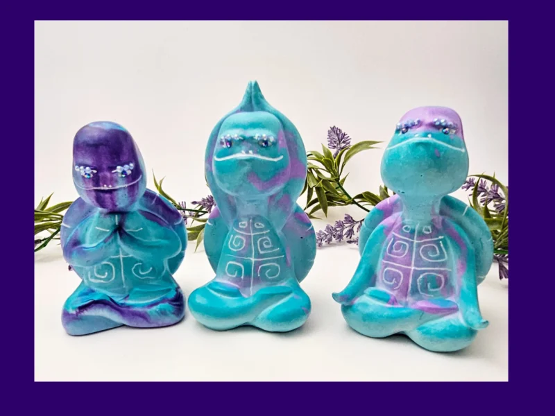 “Title banner showing the Aqua Zen Turtle Trio with bold purple and yellow branding and the text ‘Aqua Zen Turtles’.”