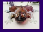 KC-FRG-BLOOM-OOAK-001002 Front-on photo of the Kirnix Creations Bloom Frog, a glossy handmade resin frog with marbled burgundy, plum and amber body, pearly white legs and googly eyes, framed by a purple border.