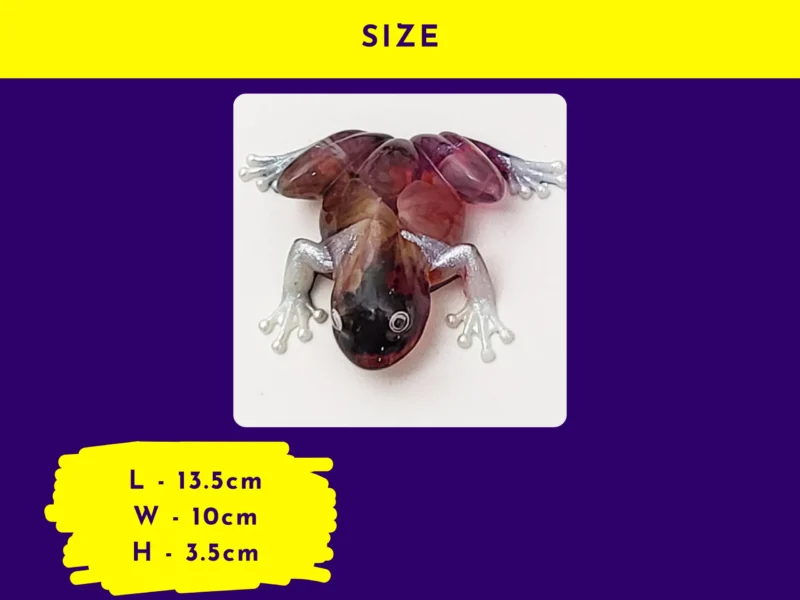 “SIZE” graphic for the Bloom Frog on purple and yellow branding; centre photo shows the frog from above, with listed dimensions: L 13.5 cm, W 10 cm, H 3.5 cm.
