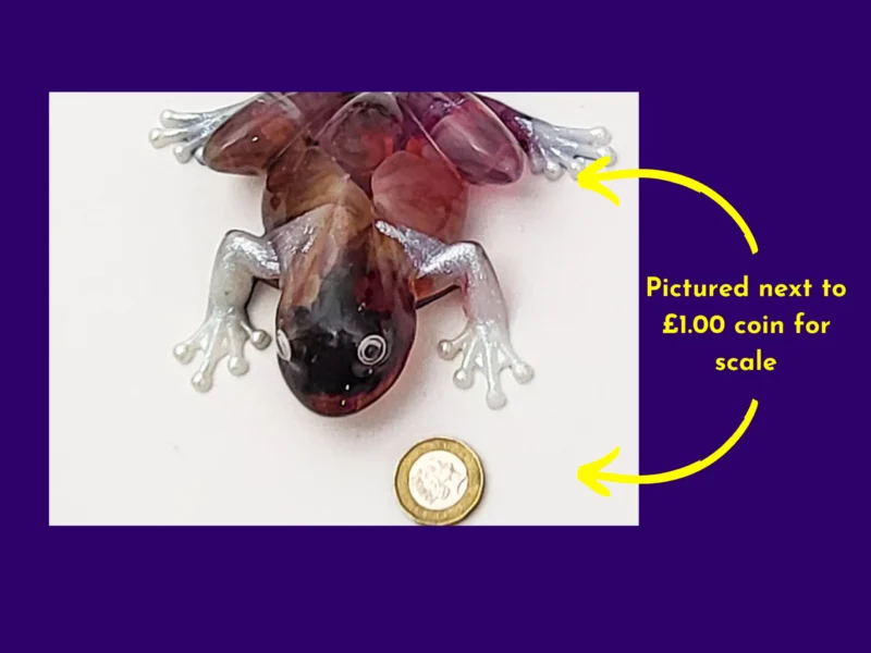 Scale graphic on a purple background showing the Bloom Frog photographed next to a £1 coin; yellow text reads “Pictured next to £1.00 coin for scale,” with arrows pointing to the frog and coin.