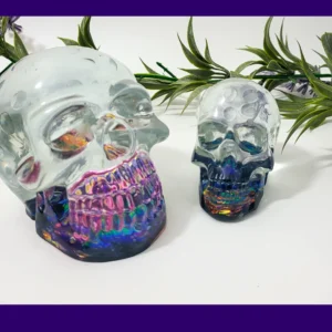 Two resin skulls shown together on a white background with greenery; a larger clear skull with rainbow jaw and a smaller skull with blue-toned base.