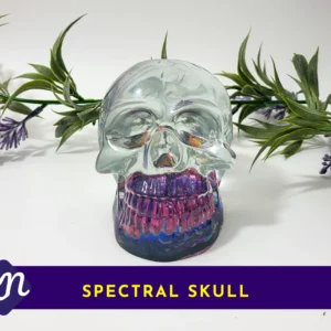 Two resin skulls shown together on a white background with greenery; a larger clear skull with rainbow jaw and a smaller skull with blue-toned base.