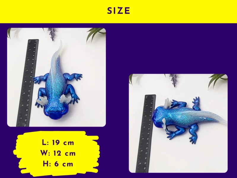 Size graphic showing the axolotl next to a ruler with measurements L 19 cm, W 12 cm, H 6 cm.