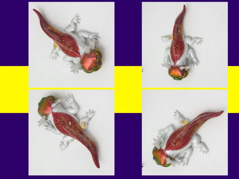 Four-photo grid of the Fire axolotl showing multiple angles on a white background with greenery.