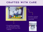 Space craft kit packed in gift box showing protective packaging and presentation