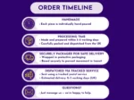Order timeline for handmade space craft kit showing processing and dispatch steps