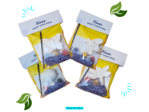 Individually packed paint your own bug mini kits showing Butterfly, Bee, Dragonfly and Ladybird designs with paints and brushes.