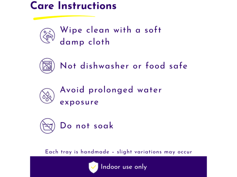 Care Instructions infographic showing purple icons and text: wipe clean with a soft, damp cloth; not dishwasher or food safe; avoid prolonged water exposure; do not soak; indoor use only.